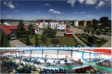 Hebei Tobee Group Co.,Limited