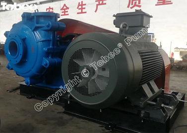 Tobee Limestone Slurry Pump with Corrosive Resistance поставщик